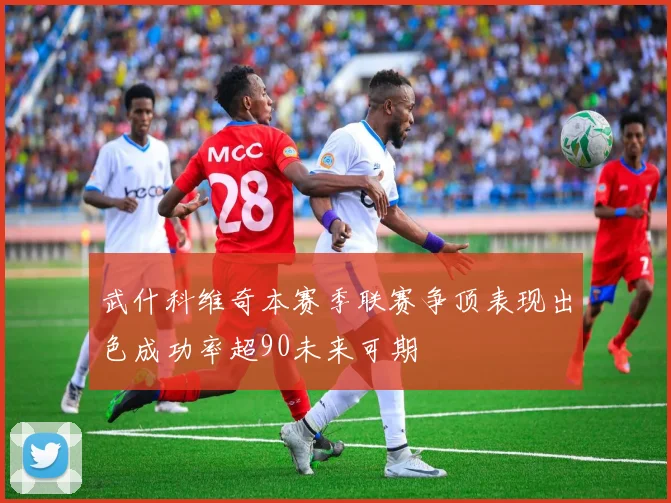 武什科维奇本赛季联赛争顶表现出色成功率超90未来可期