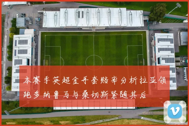 本赛季英超金手套赔率分析拉亚领跑多纳鲁马与桑切斯紧随其后