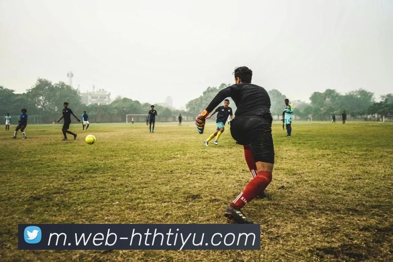 多媒体互动体验